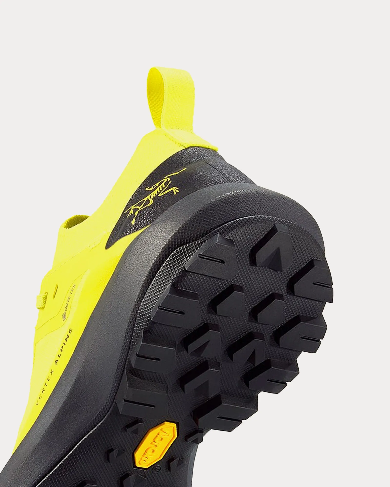 Vertex Alpine GTX Euphoria / Graphite Running Shoes
