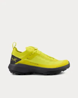 Vertex Alpine GTX Euphoria / Graphite Running Shoes